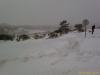 200901251454_00232.jpg