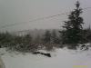 200901251456_00239.jpg