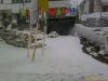 200901251458_00244.jpg