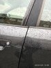 IMG_20190129_135554.jpg