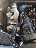 IMG_20200715_180156.jpg