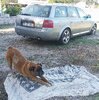 IMG_20210927_210826.jpg