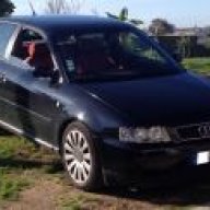 audiat